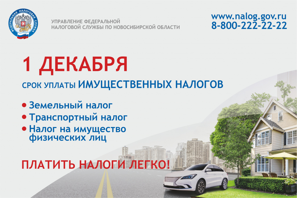 Листовка.jpg